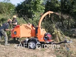 фото Измельчитель древесины бензиновый Timberwolf 160PH