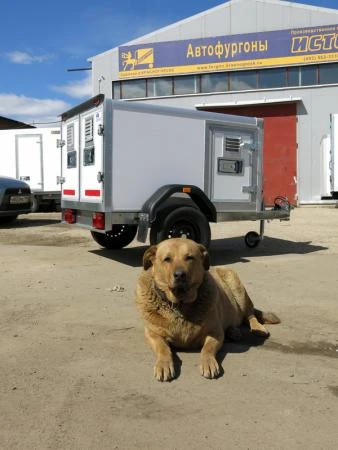 Фото Прицеп для перевозки собак ИСТОК