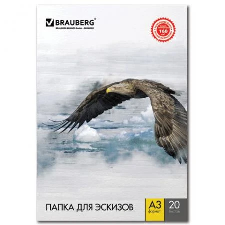 Фото Папка для рисования А3, 297х420 мм, 20 л., BRAUBERG (БРАУБЕРГ), внутренний блок 160 г/м2