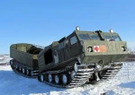 фото Запчасти Витязь дт-30