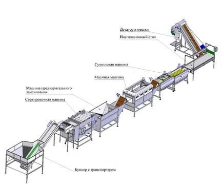 Фото Линии для переработки, очистки, мойки, обработки, сортировки картофеля, моркови.