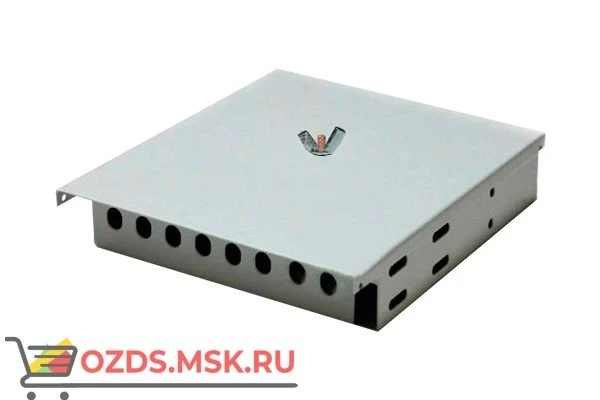 Фото NTSS-WFOBМк-8-FCU-9-SP2х: Кросс настенный Микро