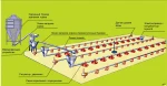 фото Оборудование для напольного выращивания бройлеров