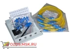 фото Эмилинк NTSS-WFOBМк-4-SC/U-9-SP2х1.5G0А Кросс