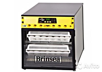 Фото Инкубатор выводной Brinsea Ova-Easy Advance EX Hatcher ser II