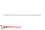 фото ASD LED-T8 Лампа 10Вт G13 6500К 800Лм 600мм матовая