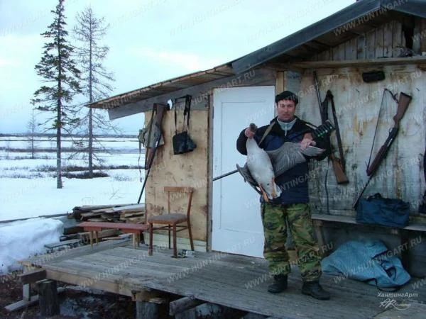 Фото Охотничий тур на пролетного гуся.