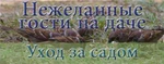 Фото №4 Устройство Ястреб МП.01 биоакустический ультразвуковой отпугиватель птиц и других животных садовых вредителей