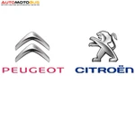 фото Молдинг Peugeot-Citroen 7452PL