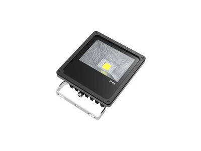 Фото ТРИАЛАЙТ Светодиодный прожектор TRL Polar Led 30