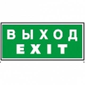 Фото Знак безопасности NPU-1510.E50 Выход-EXIT | код. a10881 | белый Свет