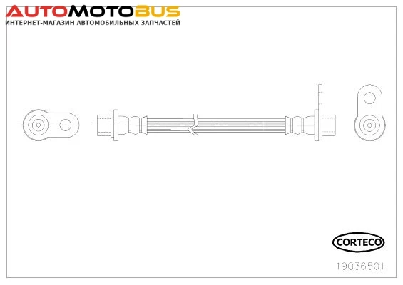 Фото Шланг тормозной CORTECO 19036501