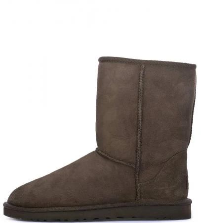 Фото UGG Australia 5800 cho