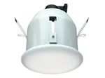 фото Светильник даунлайт (downlight) 100 RG IP54