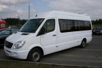 фото Микроавтобус Mercedes-Benz Sprinter 313 VIP