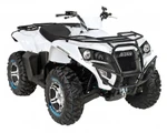 фото Квадроцикл ADLY ATV-600 U Advance 4WD Тайвань