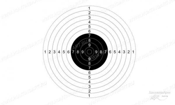 Фото Мишень №9 для пневматических пистолетов, дистанция 10 метров