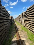 фото Б/у железобетонные шпалы оптом