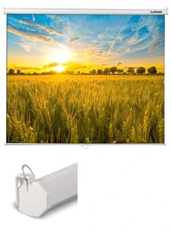 Фото Экран настенно-потолочный Lumien Eco Picture 150*150 Matte White