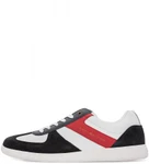 фото Tommy Hilfiger FM0FM00340 020 rwb