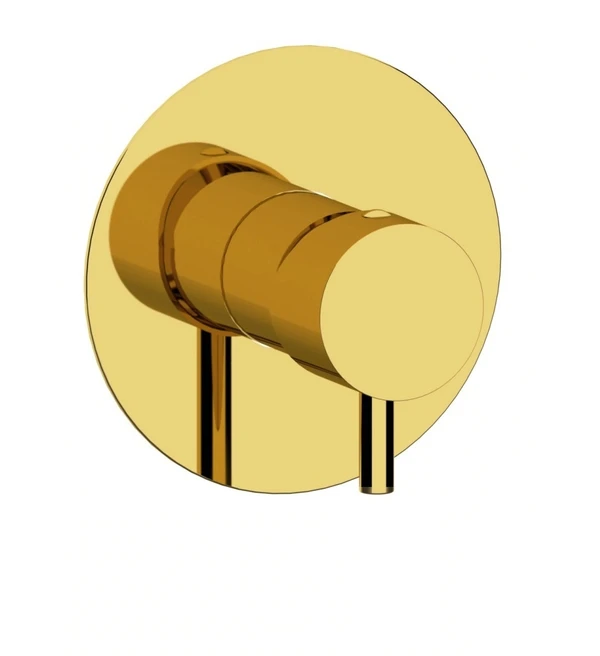 Фото Remer MINIMAL THERMO NT30DO Термостатический смеситель для душа (золото полированное)