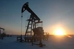 фото Нефть из собственных скважин