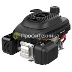 фото Двигатель бензиновый EVOline XP 225 AE