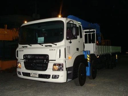 Фото Hyundai HD 320 КМУ Dong Yang ss2725