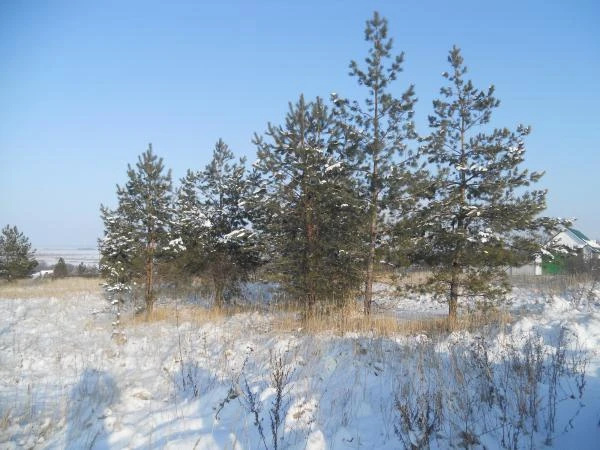 Фото Продаю земельный участок Воронеж, Рамонский р-н, с.Гнездилово, СТ Технолог