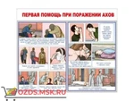 фото Первая помощь при поражении ахов: Плакат по безопасности