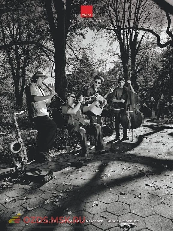 Фото Акустическая панель DALI ACOUSTIC PANEL/The Tin Pan (Central Park) A1