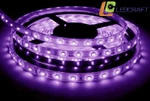 фото Светодиодная лента LC-5050-W-12RGB30 IP68 Многоцветная