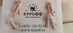 фото Куриные лапы категории "Paws" оптом от производителя