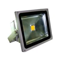 Фото Светодиодные прожекторы LU-50W LU-50W