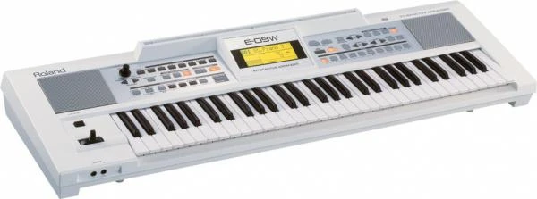 Фото Синтезатор ROLAND E-09W