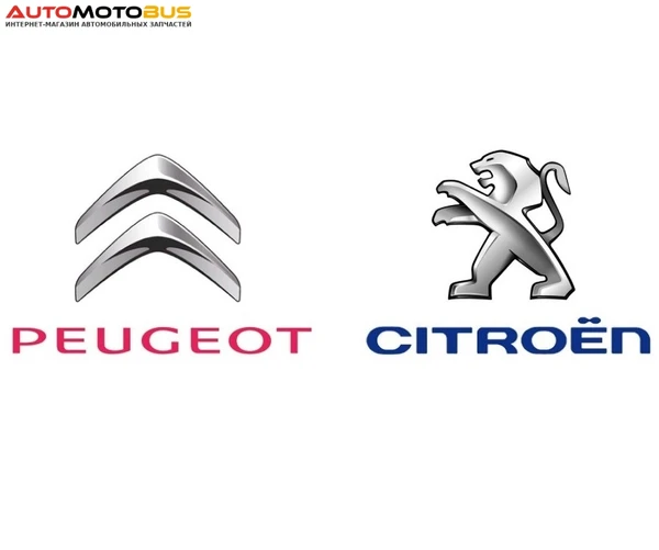 Фото Молдинг Peugeot-Citroen 7452PL