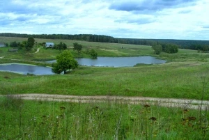 Фото Продам землю в Калужской области Тарусский р-н от 1 Га