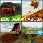 фото Мы доставим вам навоз, перегной, чернозём.