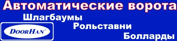 Фото Автоматические секционные гаражные ворота