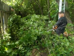 фото Уборка участков, территорий, спил деревьев