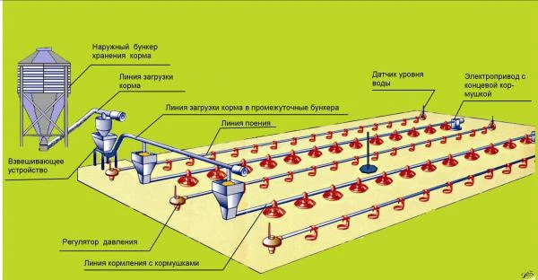 Фото Оборудование для напольного выращивания бройлеров