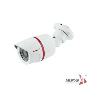 Фото Roka R-2000W IP камера уличная в антивандальном исполнении.