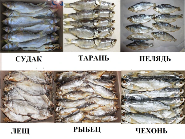 Фото Рыба вяленая, рыба сушеная, сушёные морепродукты, мясо, орехи, весовые снеки, закуски к пиву