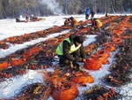 фото Купим сейсмические кабели