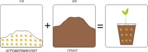 Фото АГРОвермикулит — уникальная добавка в почву