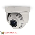 фото Arecont Vision AV3245PMIR-SB-LG: Купольная IP-камера