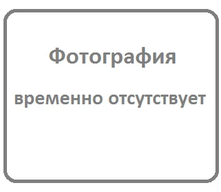 Фото ДПО04-030SS/13W/NW/1200LM-001 IP54 С ОПТИКО-АКУСТИЧЕСКИМ ДАТЧИКОМ