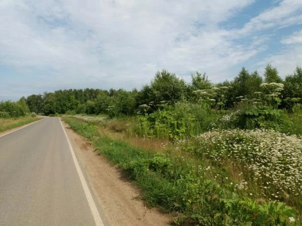 Фото Участок для малоэтажного жилищного строительства (МЖС)