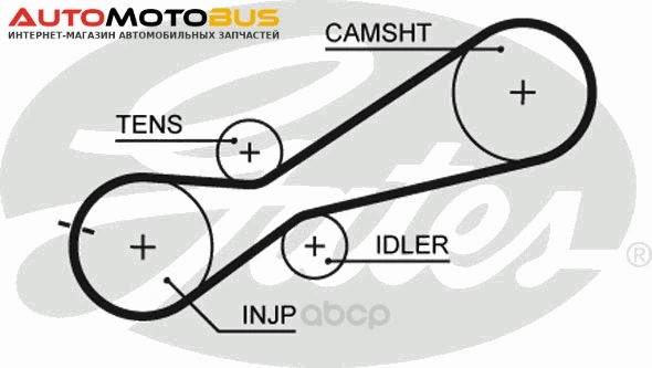 Фото Ремень ГРМ Gates 5345XS