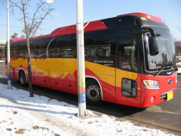 Фото Туристический автобус Kia Granbird, 2012 год